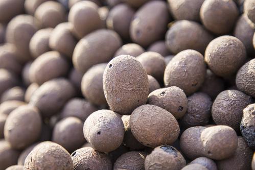 江西達人輕質(zhì)陶粒