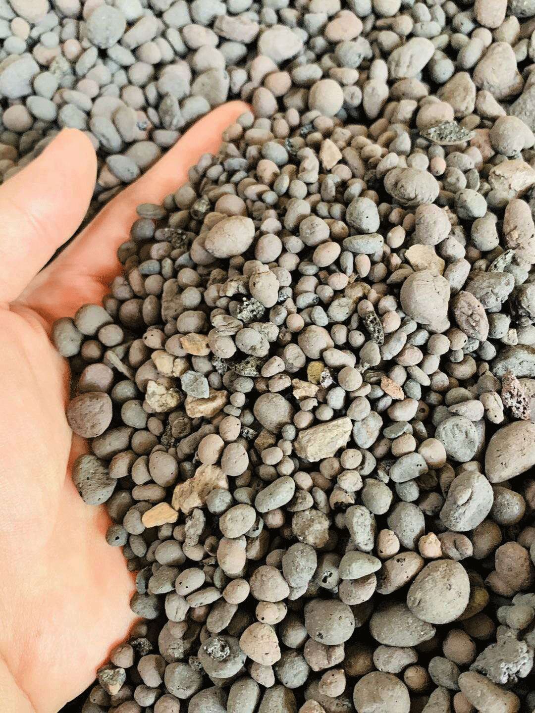 撫州陶粒_撫州陶粒批發_衛生間回填陶粒 撫州陶粒_撫州陶粒批發_衛生間回填陶粒