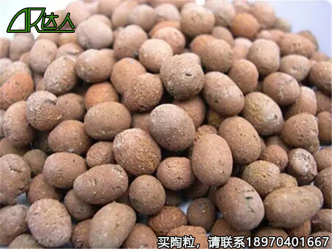 江西達人建材回填陶粒 江西達人建材回填陶粒